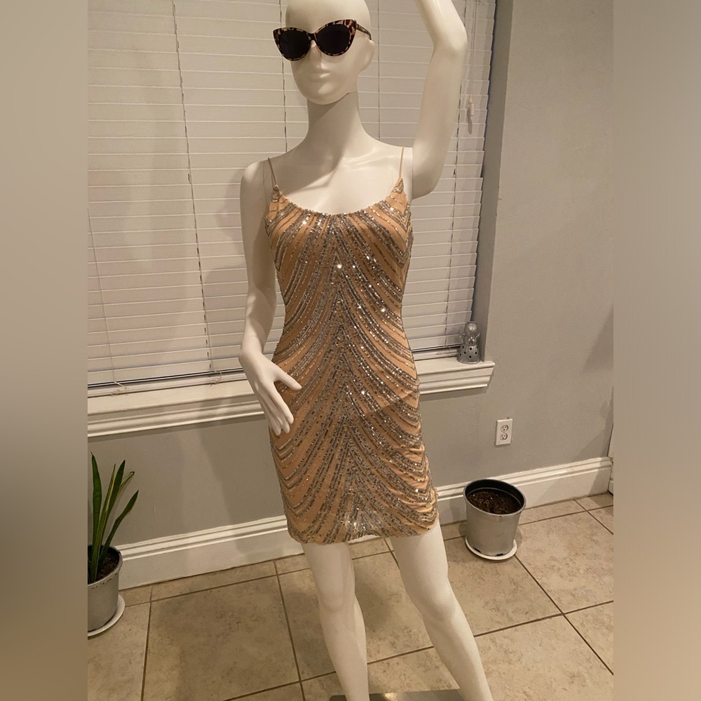 Beautiful seniqued dress